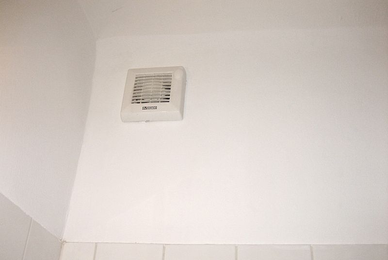 Professionelle Schimmelsanierung im Großraum Wien: Schimmel entfernen