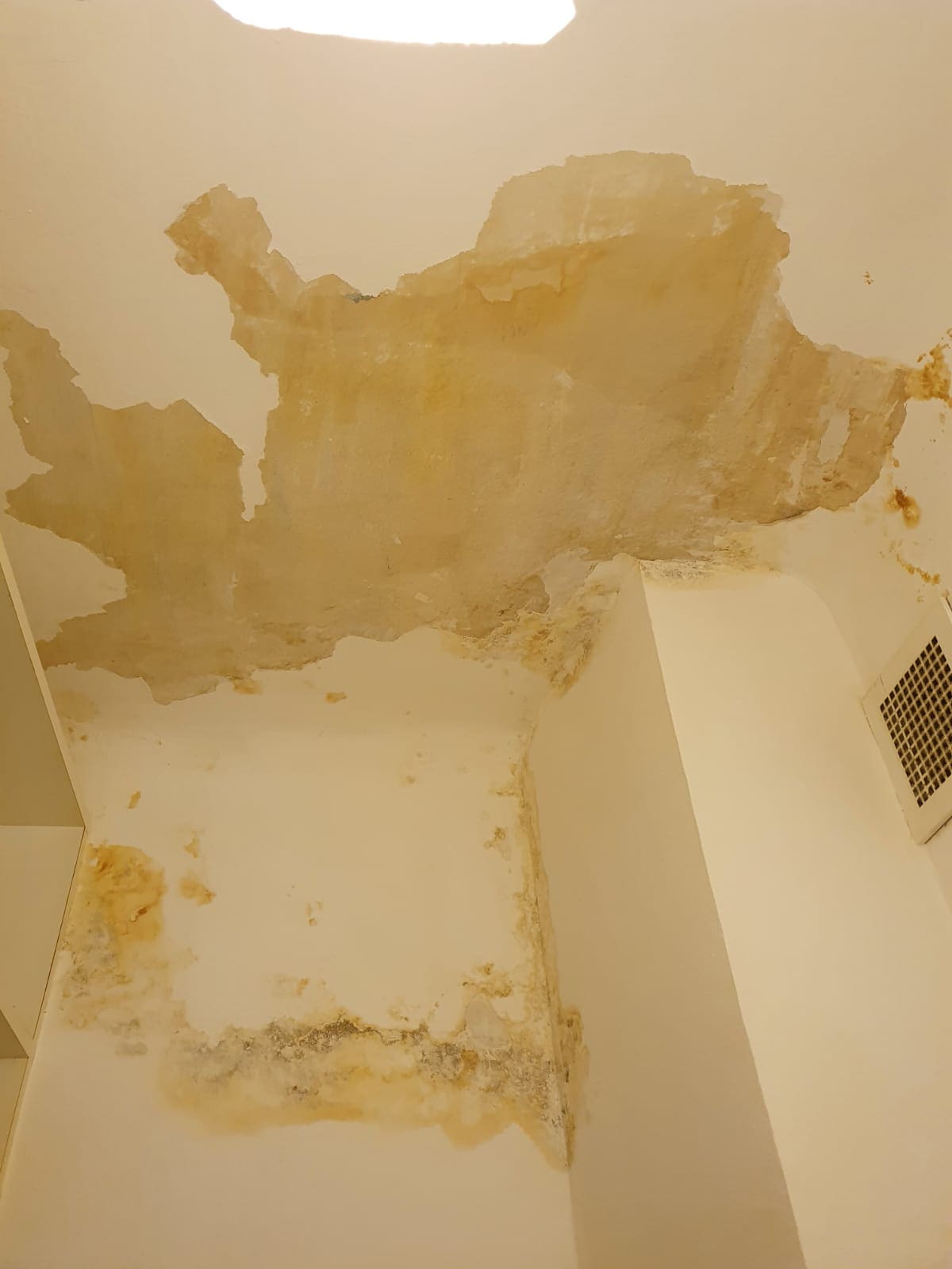 Wasserschaden - Vorher